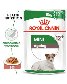 ROYAL CANIN Mini ageing 12+ 48x85g kapsičky pro malé, starší psy