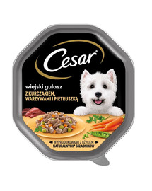 CESAR 150 g kompletní vlhké krmivo pro dospělé psy s kuřecím masem, zeleninou a petrželovou omáčkou