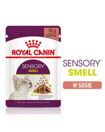 ROYAL CANIN Sensory Smell gravy 24x85 g kousky ve šťávě pro dospělé kočky