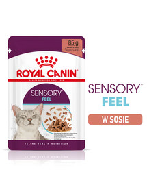ROYAL CANIN Sensory Feel Gravy 48x 85 g kousky ve šťávě pro dospělé kočky stimulující vnímání