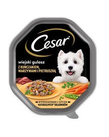 CESAR sada 14x150 g paštiky pro dospělé psy v omáčce s kuřecím masem, zeleninou a petrželkou