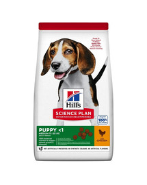 HILL'S Science Plan Canine Puppy Medium Chicken 18 kg + 3 konzervy ZDARMA