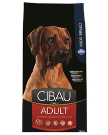 CIBAU Adult Maxi pro dospělé psy velkých plemen 12 kg
