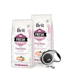 BRIT Fresh Chicken & Potato Puppy Healthy Growth 2 x 12 kg + FLEXI New Comfort L Tape 8 m ZDARMA