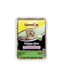 GIMPET Trawa kot cat grass (katzen-gras) 150g pojemnik pl