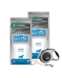 FARMINA Vet Life Dog Joint 2 x 12 kg  + FLEXI New Comfort L Tape 8 m ZDARMA