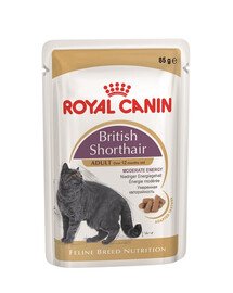 ROYAL CANIN British Shorthair Gravy 24x 85g kapsička pro britské krátkosrsté kočky ve šťávě