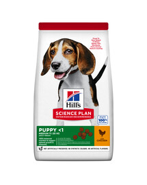 HILL'S Science Plan Puppy <1 Medium breed sucha karma z kurczakiem 14 kg + 3 puszki GRATIS