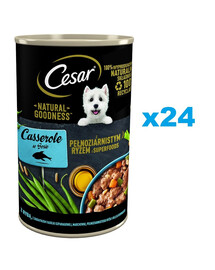 CESAR Ryba v omáčce 24x400g konzervy pro psy