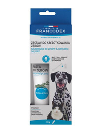 FRANCODEX Dental Kit zubní kartáček + pasta 70g