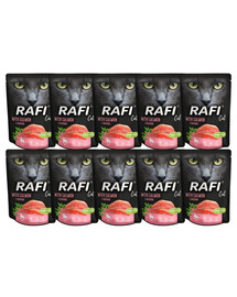 DOLINA NOTECI Rafi Cat vlhké krmivo pro kočky s lososem 10 x 300 g