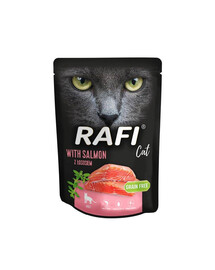 DOLINA NOTECI Rafi Cat s lososem 300 g