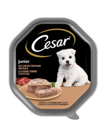 CESAR Junior Krůtí a telecí 150 g