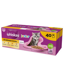 WHISKAS Junior Drůbeží hody 40x85g kapsičky s kuřecím, kachním, drůbežím a krůtím v želé