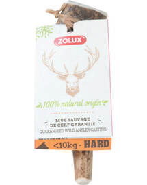 ZOLUX Celé jelení paroží Hard XS - přírodní pamlsek pro psy