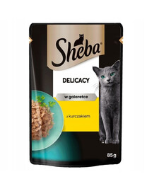 SHEBA Delicacy in jelly 85g kousky s kuřecím masem v želé pro kočky