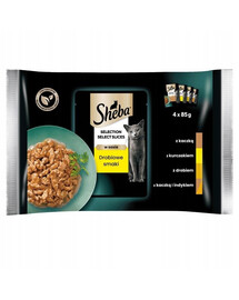 SHEBA Selection Select Slices Drůbeží Smaki 4x85g mokré krmivo s kachnou, kuřecím masem, drůbeží, kachnou a krůtou pro kočky