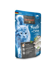 LEONARDO Adult Pstruh a Catnip ve šťávě 85 g