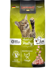 LEONARDO Adult Poultry GF 300g