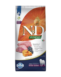N&D Pumpkin Dog Adult Giant Lamb & Blueberry 12 kg