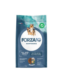 FORZA10 All Breeds Maintenance Fish Rice pro všechna plemena psů 12 kg