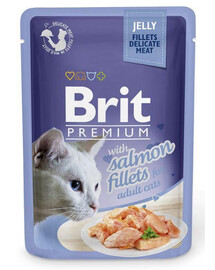 BRIT Premium Cat  Fillets in Jelly mokré krmivo pro kočky s lososem 24x85g