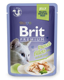 BRIT Premium Cat  Fillets in Jelly vlhké krmivo se pstruhem pro kočky 24x85g