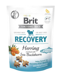 BRIT Care Dog Functional snack Recovery Herring 150g pamlsek se sleděm pro aktivní psy