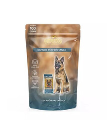 DIVINUS Dog Performance 100 g