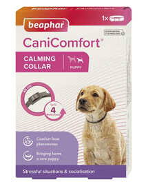 BEAPHAR CaniComfort Calmin Collar Puppy 45 cm uklidňující obojek pro štěňata