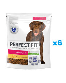 PERFECT FIT Adult 1+ Kompletní krmivo pro dospělé psy velkých plemen, bohaté na kuřecí maso 6x825g