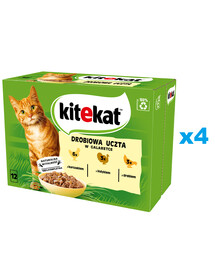 KITEKAT Drůbeží hody sáček 48x85 g kompletní krmivo pro dospělé kočky s kuřecím, krůtím a drůbežím masem v želé