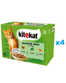 KITEKAT Delikatne Smaki sáček 48x85 g kompletní mokré krmivo pro dospělé kočky s krůtou, králíkem a drůbeží v omáčce