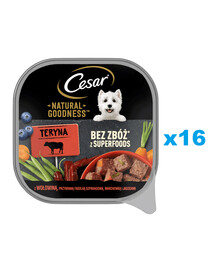 CESAR Natural Goodness Mus tác 16x100 g kompletní mokré krmivo pro dospělé psy s hovězím masem, zdobené zelenými fazolkami, mrkví a lesním ovocem