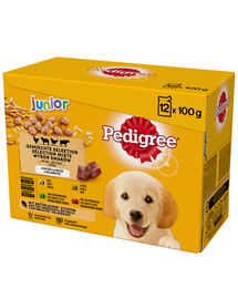 PEDIGREE Junior Výběr příchutí s rýžovými kapsičky 12x100g mokré krmivo pro štěňata v želé s kuřecím, jehněčím, drůbežím a hovězím masem