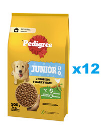PEDIGREE Junior 12x500 g s drůbeží a zeleninou, kompletní krmivo pro rostoucí psy velkých a středních plemen