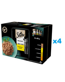 SHEBA Delicacy drůbeží Smaki kapsičky 48x85 g kompletní krmivo pro dospělé kočky v kouscích želé s: kachna, kuřecí maso, drůbež, krůta