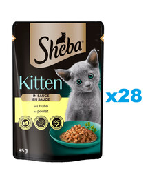 SHEBA Kitten kapsička 28x85 g kompletní krmivo pro koťata, kousky s kuřecím masem v omáčce