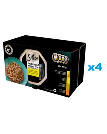 SHEBA Selection Drůbeží Smaki 32x85 g kompletní krmivo pro dospělé kočky v omáčce, kousky s kuřecím a krůtím masem, kuřecím masem, drůbeží, krůtí