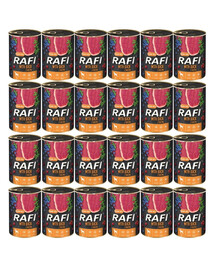 DOLINA NOTECI RAFI Kachna 24x400 g