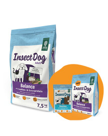 GREEN PETFOOD InsectDog Balance 7,5kg + 900g & Denties ZDARMA