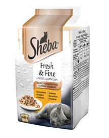 SHEBA Fresh & Fine 6x50g mokré kompletní krmivo pro dospělé kočky v omáčce s kuřecím a krůtím masem