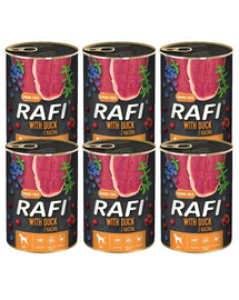 DOLINA NOTECI RAFI Kachna 6x400 g