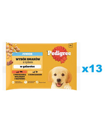 PEDIGREE Junior Výběr příchutí s rýží kapsičky 52x100g mokré krmivo pro štěňata v želé s kuřecím a hovězím masem