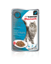 BENEK Super filé v omáčce s pstruhem 85 g