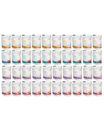 PIPER Animals Cat kapsička 40x100 g mokrého krmiva pro kočky