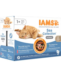 IAMS Cat Delights Adult All Breeds Sea In Jelly Pouch 12 X 85 g krmivo pro kočky v želé