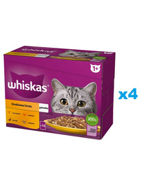 WHISKAS Adult sáček 48×85 g Drůbeží hostina mokré krmivo pro dospělé kočky v želé s: kuřecím masem, kachnou, drůbeží a krůtím masem