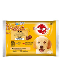 PEDIGREE Junior Různé příchutě s rýží 4x100g kapsička v želé kuřecí a hovězí