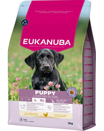 EUKANUBA Puppy Large Breeds Chicken 3 kg krmivo pro štěňata velkých plemen bohaté na čerstvé kuřecí maso